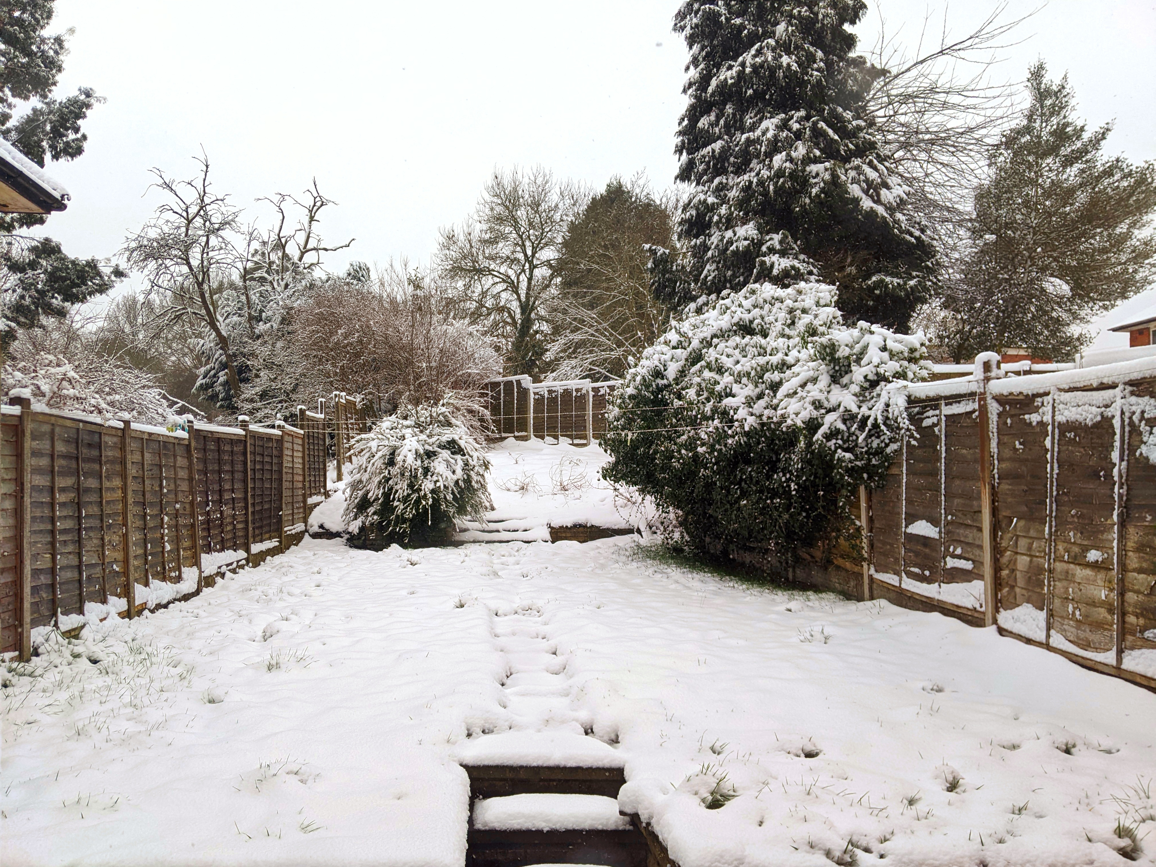 Snow in the garden